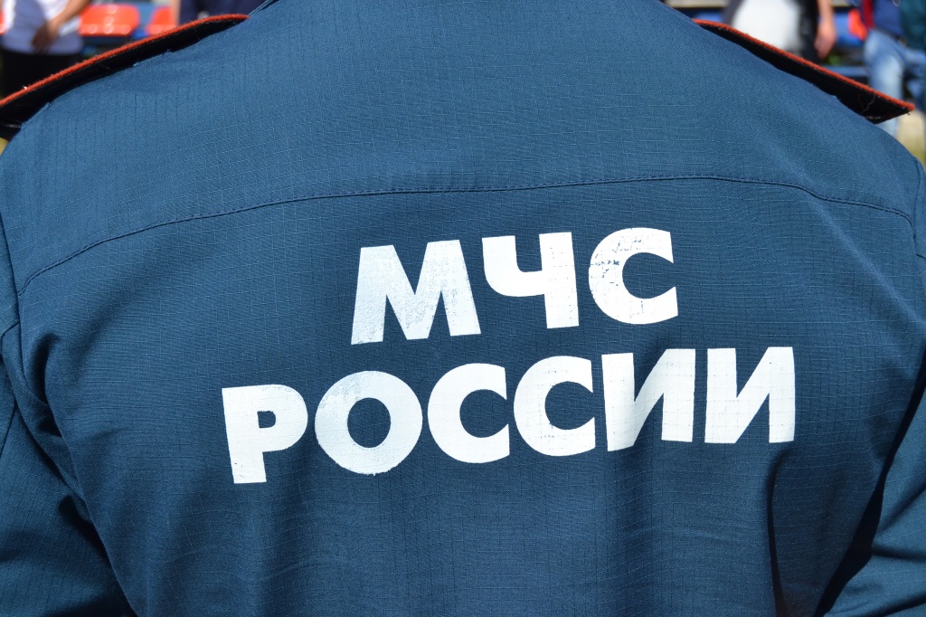 Сднем рождения, мчс россии картинки со спины